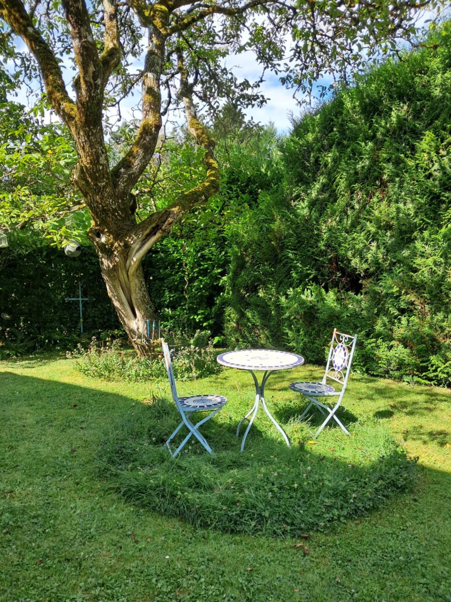 Le Buisson De La Gariole Bed & Breakfast Aubigny-sur-Nere Ngoại thất bức ảnh